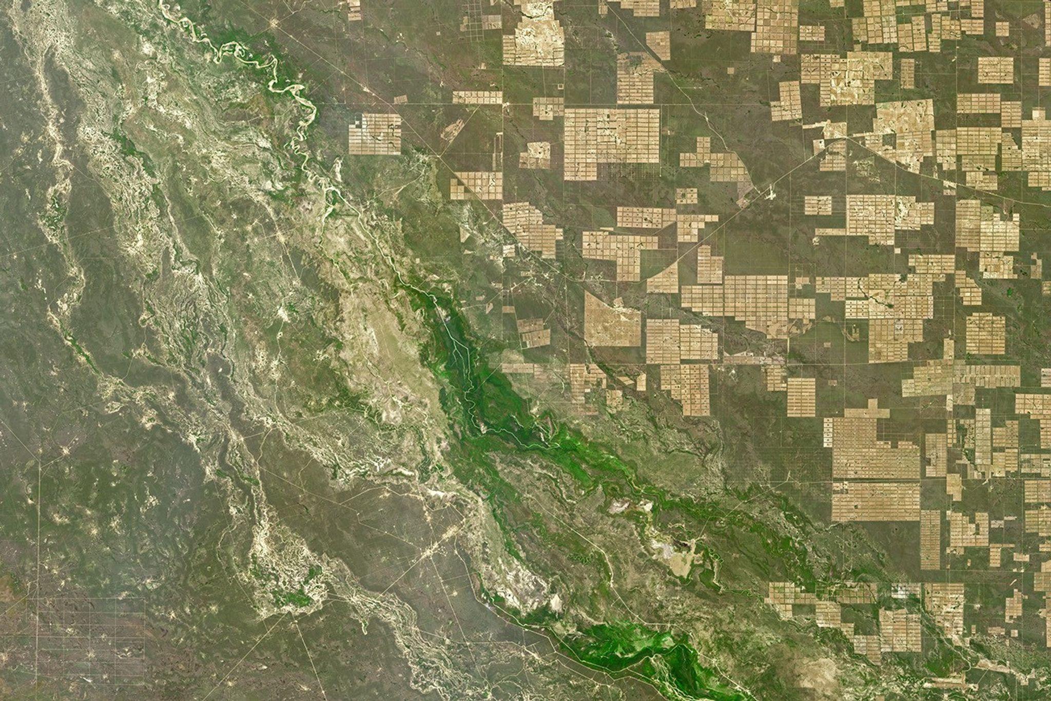 Vue satellite de vastes parcelles déboisées au milieu de la végétation du Gran Chaco, au Paraguay.