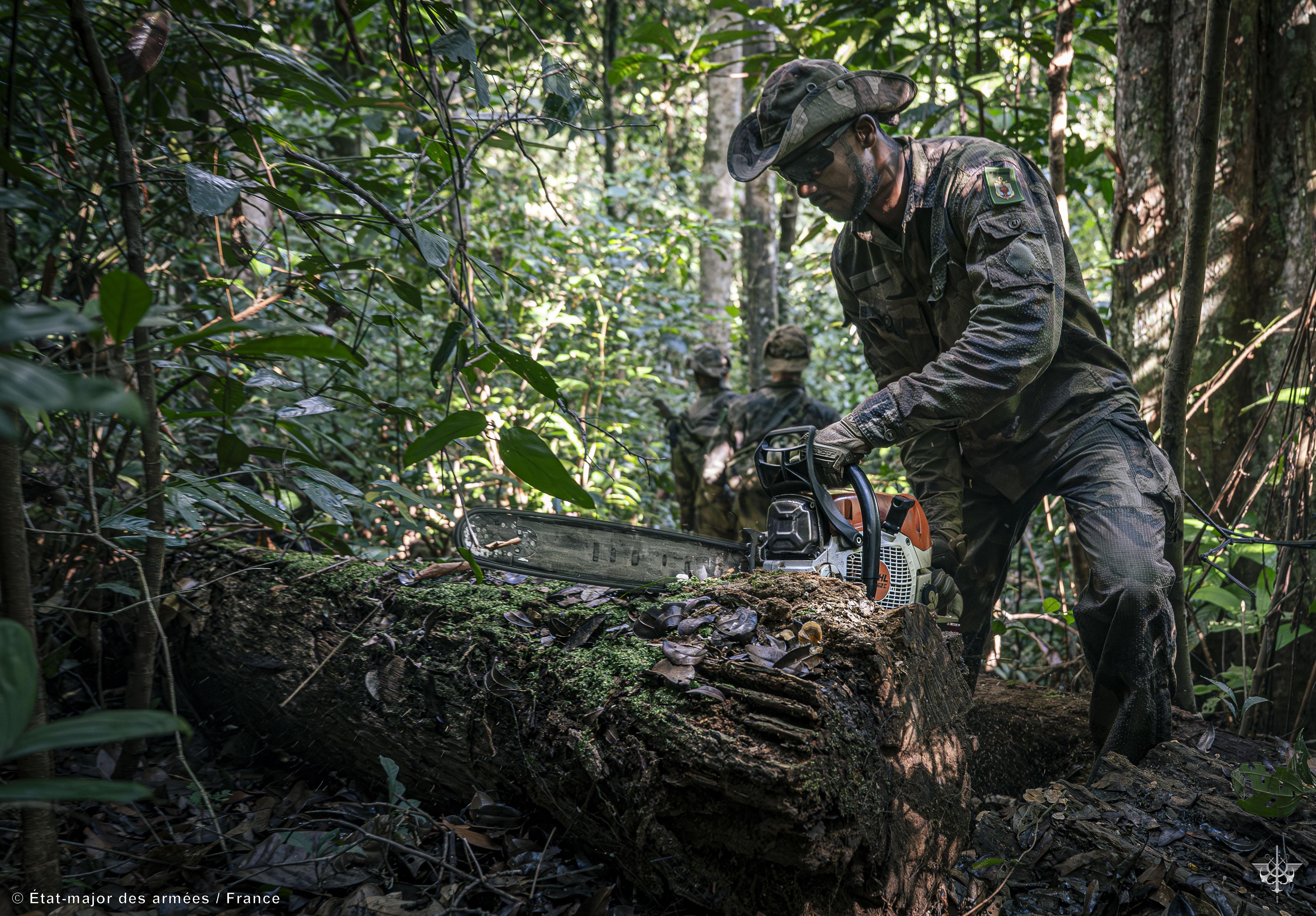 Guyane: L'orpaillage clandestin, des "trous dans la forêt"