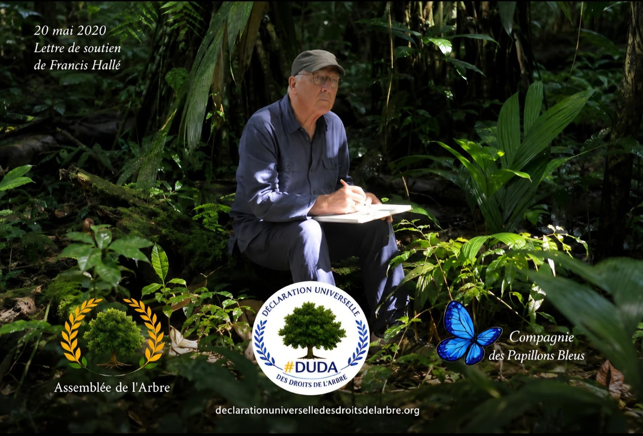 Le botaniste Francis Hallé dans une forêt tropicale, à l’occasion de sa lettre de soutien à la Déclaration universelle des droits de l’Arbre du 20 mai 2020.