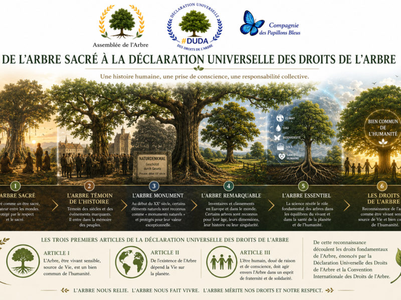 Fresque historique illustrant l'évolution du regard porté sur l'arbre, depuis les arbres sacrés jusqu'à la Déclaration Universelle des Droits de l'Arbre et la reconnaissance de l'arbre comme bien commun de l'humanité.