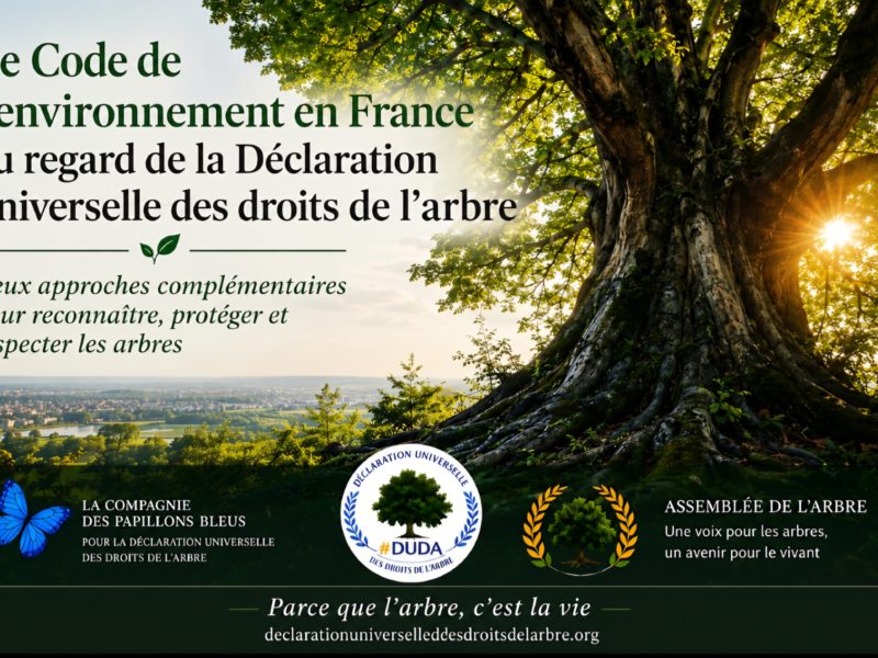 Le Code de l'environnement en France au regard de la Déclaration universelle des droits de l'arbre – Illustration d'un arbre majestueux symbolisant la protection du vivant.