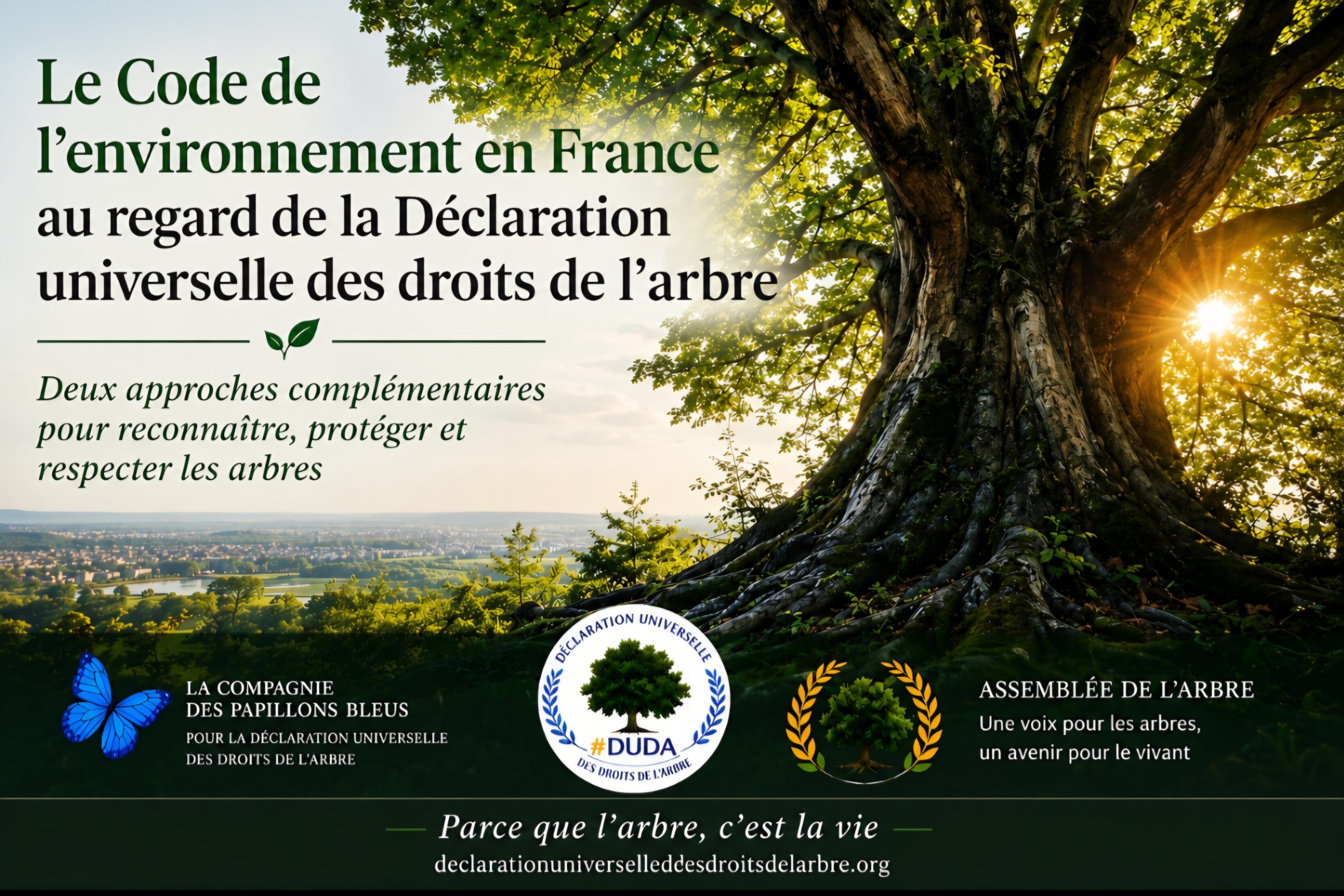 Le Code de l'environnement en France au regard de la Déclaration universelle des droits de l'arbre – Illustration d'un arbre majestueux symbolisant la protection du vivant.