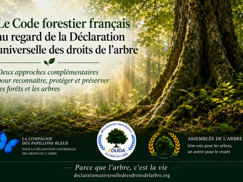 code-forestier-francais-declaration-universelle-droits-arbre