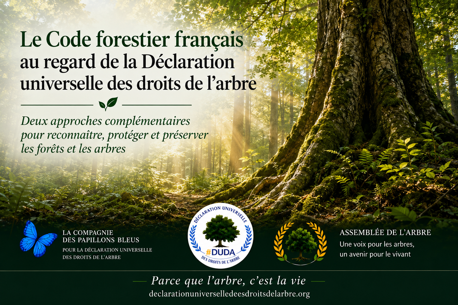 code-forestier-francais-declaration-universelle-droits-arbre