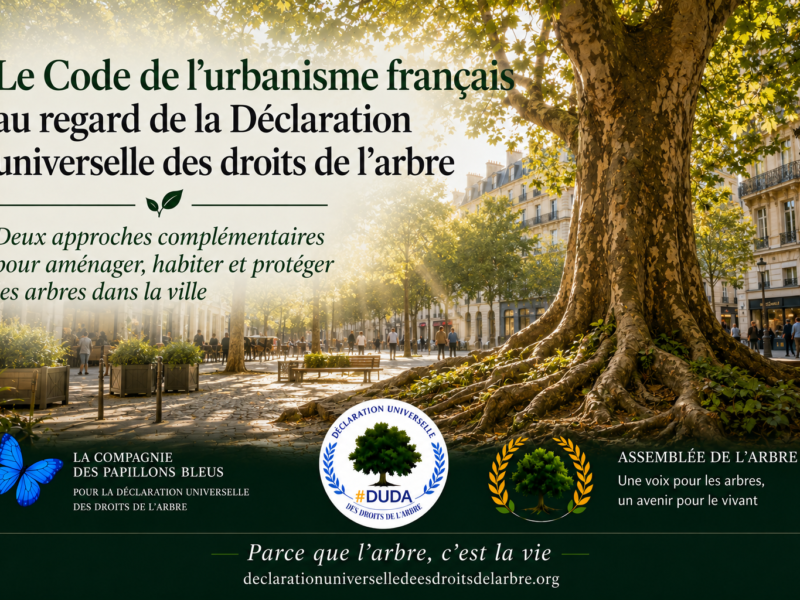 Illustration d’un arbre majestueux en milieu urbain représentant le lien entre le Code de l’urbanisme français et la Déclaration universelle des droits de l’Arbre.