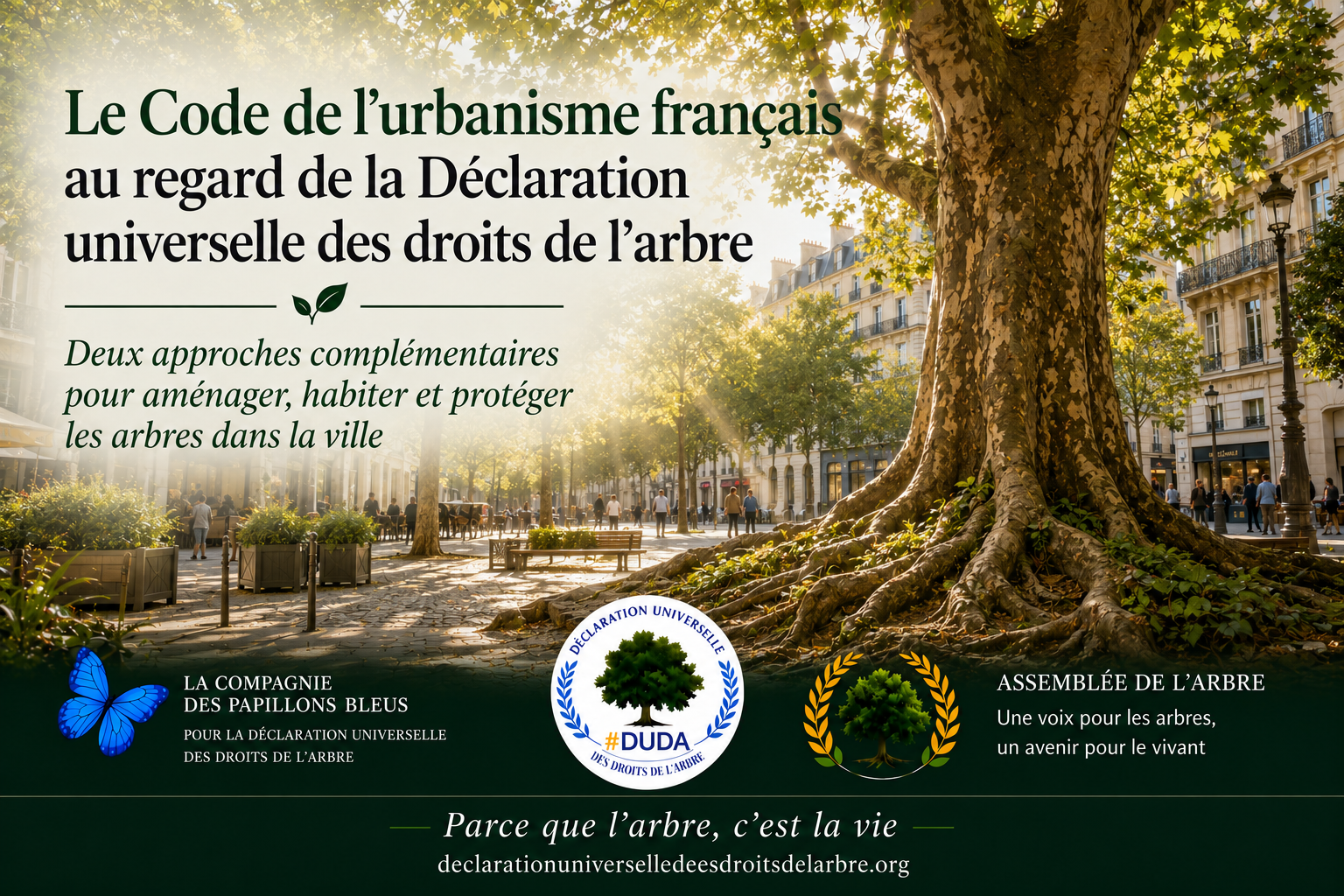 Illustration d’un arbre majestueux en milieu urbain représentant le lien entre le Code de l’urbanisme français et la Déclaration universelle des droits de l’Arbre.