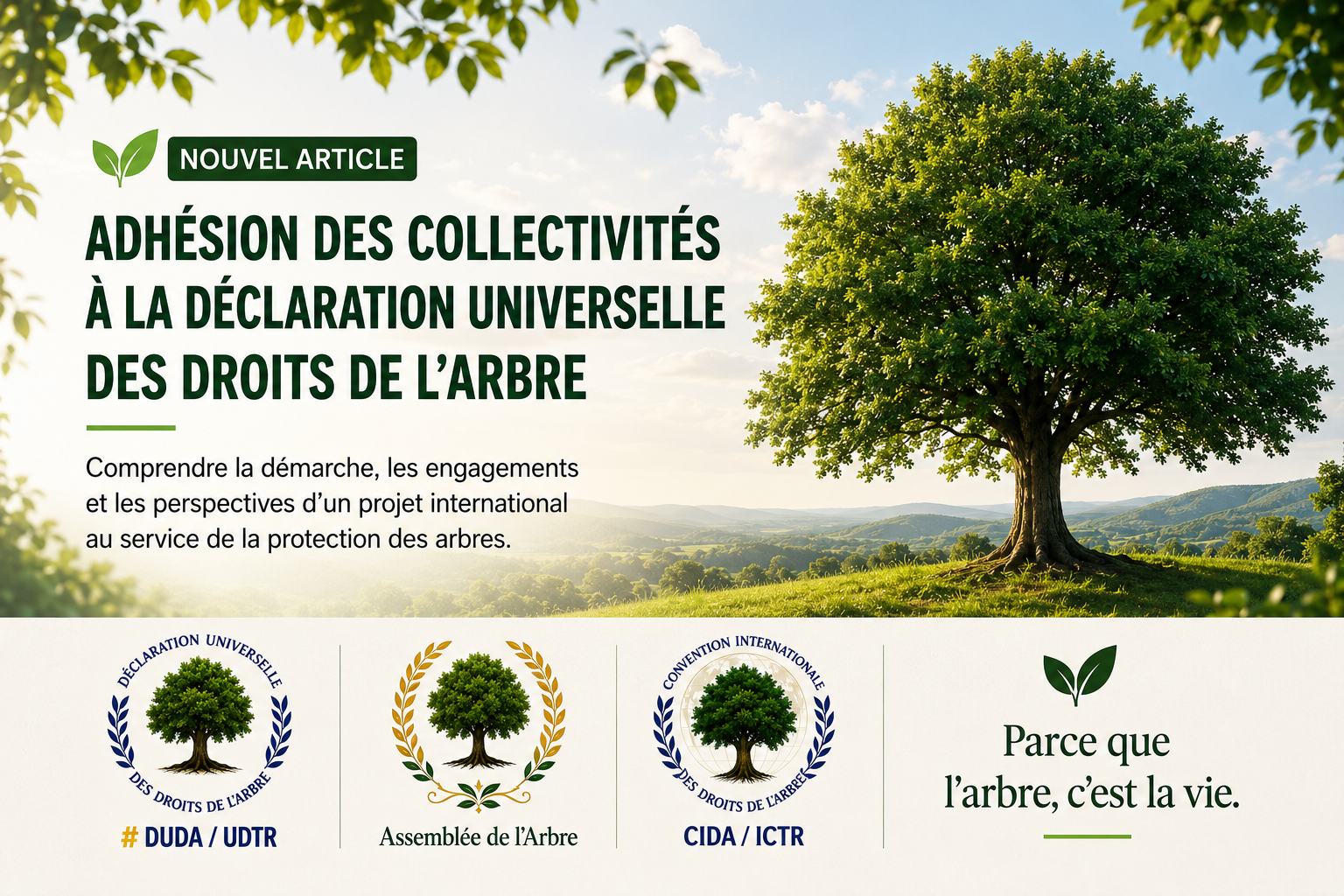 Illustration présentant l'adhésion des collectivités territoriales à la Déclaration universelle des droits de l'Arbre.