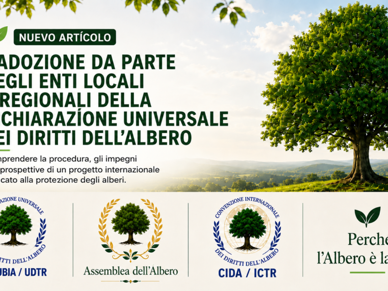 Illustrazione sull’adozione della Dichiarazione Universale dei Diritti dell’Albero da parte degli enti locali e regionali.
