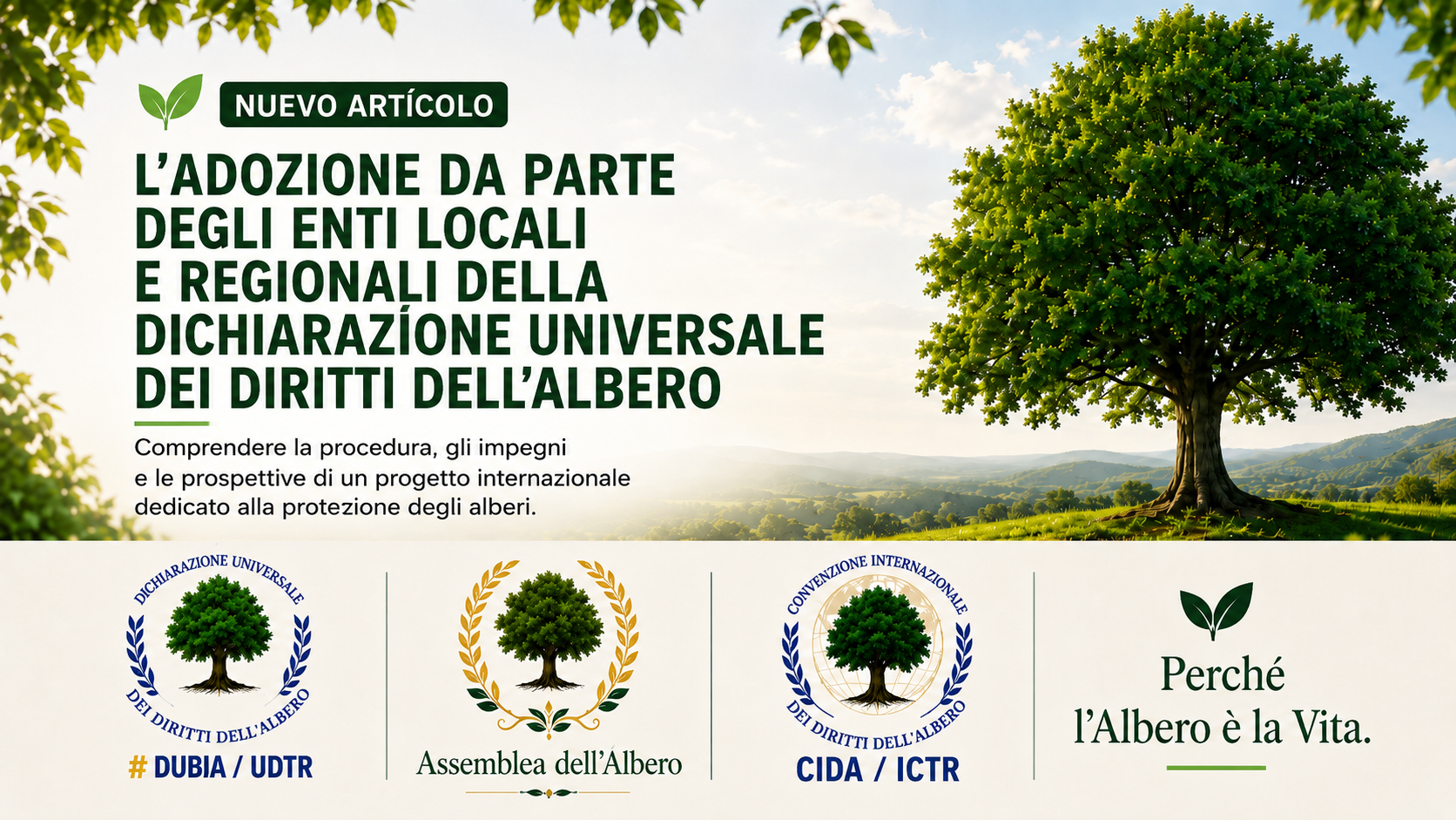 Illustrazione sull’adozione della Dichiarazione Universale dei Diritti dell’Albero da parte degli enti locali e regionali.