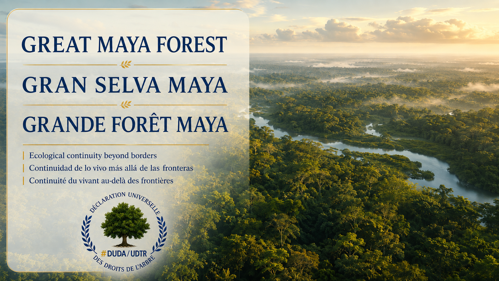 Vue aérienne de la Grande Forêt Maya traversée par un cours d’eau, illustrant la continuité écologique entre le Mexique, le Guatemala et le Belize.